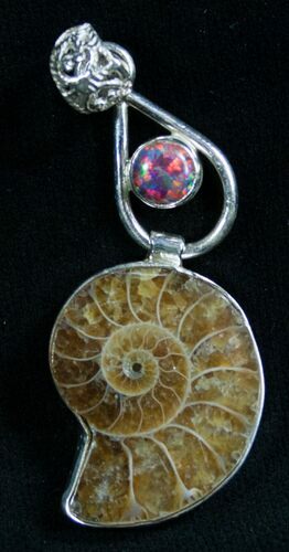 Fossil Ammonite Pendant - Sterling Silver #8273